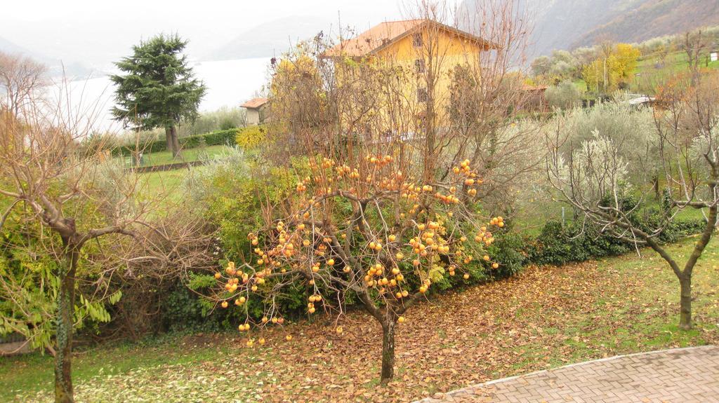 B&B Garden Solto Collina Buitenkant foto
