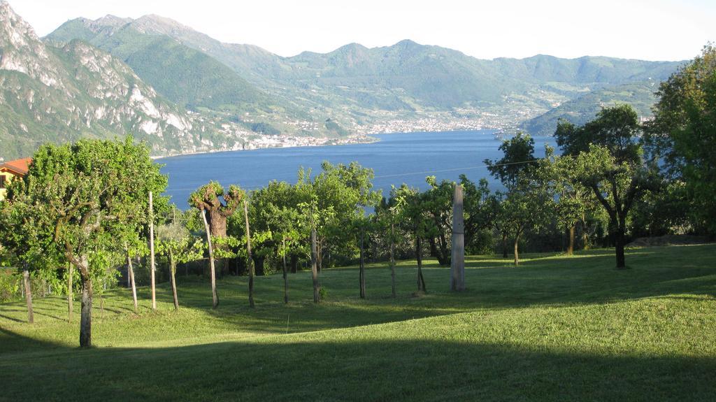 B&B Garden Solto Collina Buitenkant foto